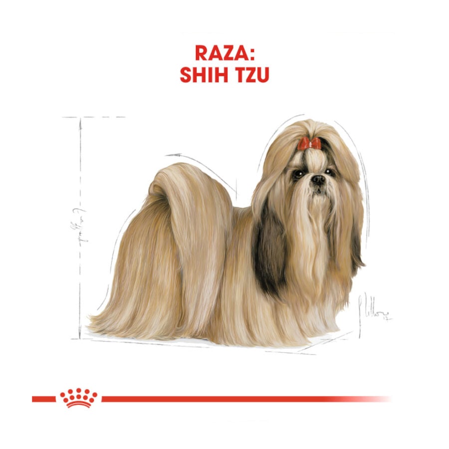 Royal Canin Adult Shih Tzu pienso para perros thumbnail