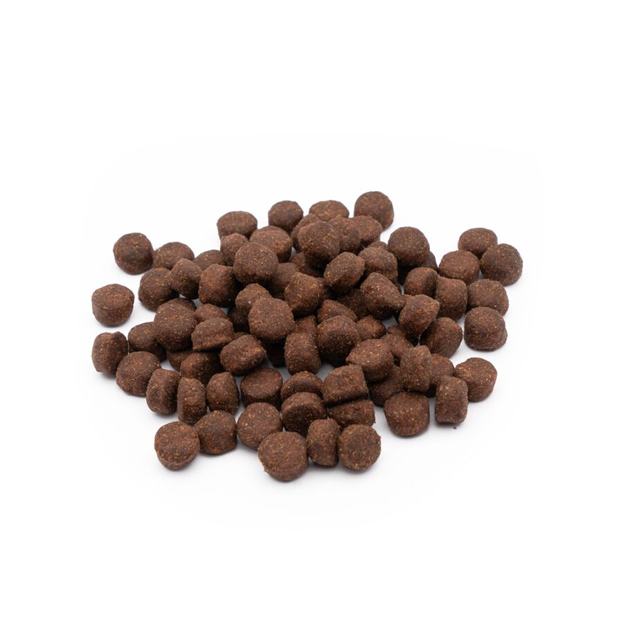 Breedna Grain Free Light Senior pienso para perros thumbnail