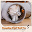 Nobleza Tunel para Gatos en Gamuza, Túnel de 3 vías para Interiores con 1 Agujeros y Bola suspendida Juguetes para Gatos, Tunel Plegable para Mascotas Juguete para Gato Gatito Conejo Hurones (Gris), , large indicador imagen numero 5