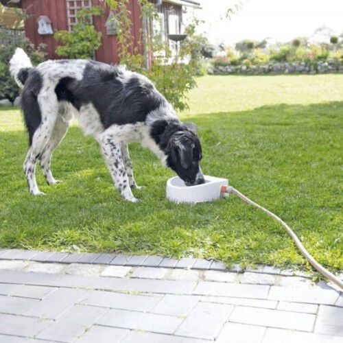 Bebedeo autom&aacute;tico para mascotas color Blanco, , large Imagen numero 4