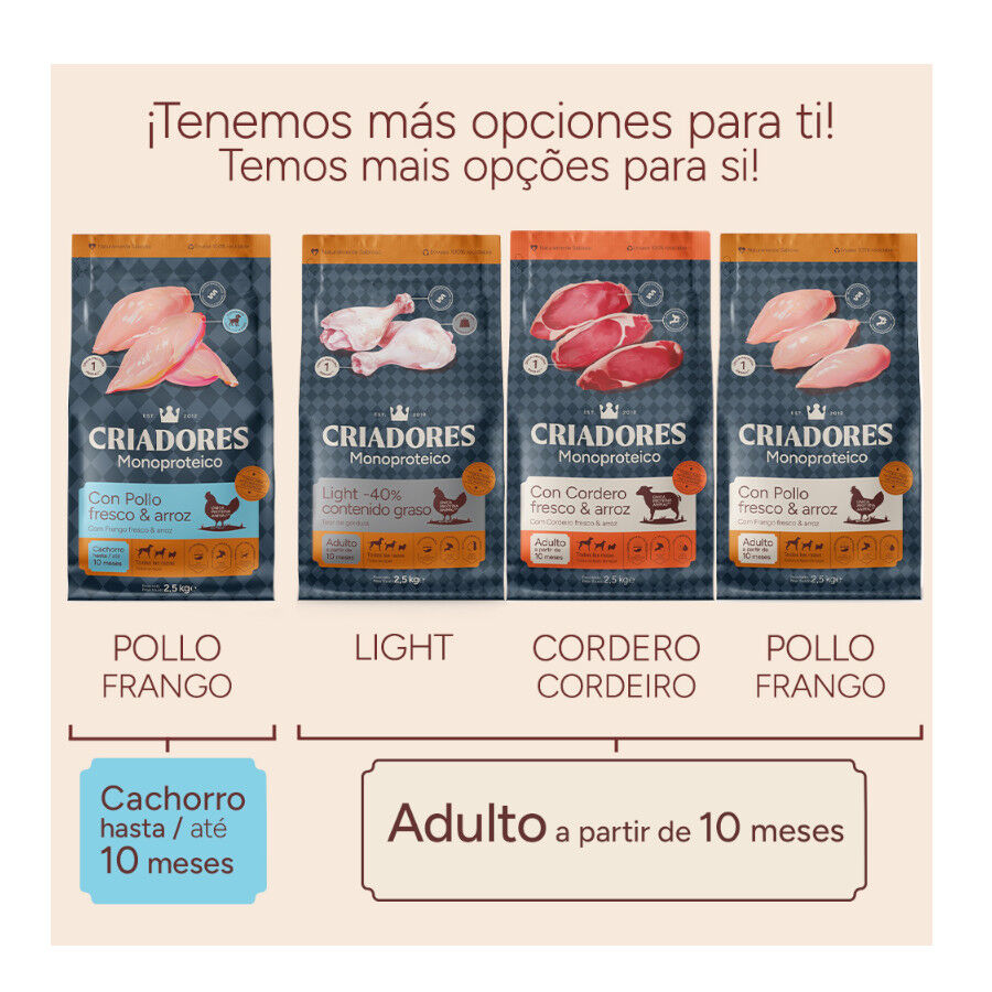 10 kg Criadores Monoproteico Light -40% contenido graso Adulto con Pollo pienso para perros, , large Imagen numero 12