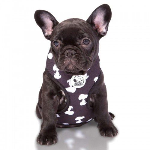 Zooz arn&eacute;s snoopy negro para perros, , large Imagen numero 1