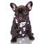 Zooz arn&eacute;s snoopy negro para perros, , large indicador imagen numero 1
