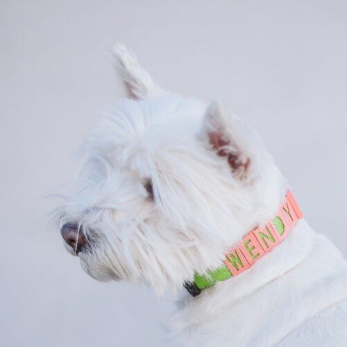 Seron collar personalizado de nylon verde y coral para mascotas , , large Imagen numero 2