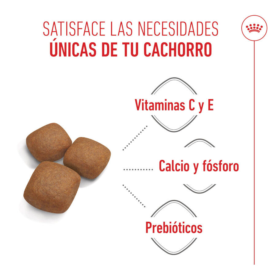 Royal Canin Junior Giant pienso para perros thumbnail