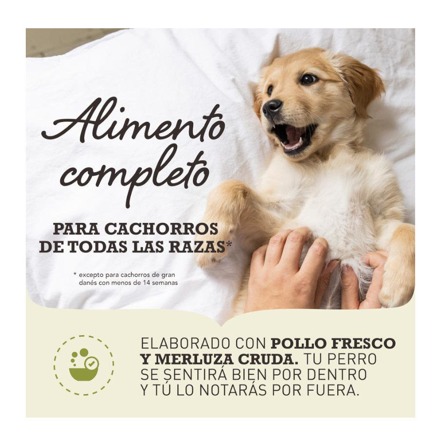 Acana Puppy &amp; Junior pienso para perros thumbnail