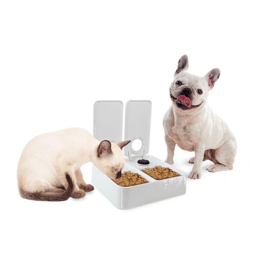 All For Paws Liftstyle4Pets Comedero Autom&aacute;tico Doble para perros y gatos, , large Imagen numero 4