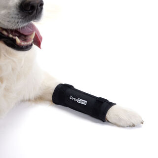 Ortocanis Soporte De Carpo Para Perros Con Artrosis