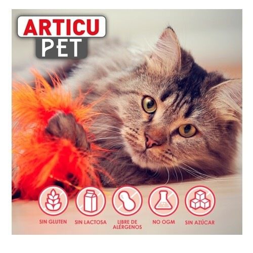 Pet line antiinflamatorio articupet para perros y gatos, , large Imagen numero 5