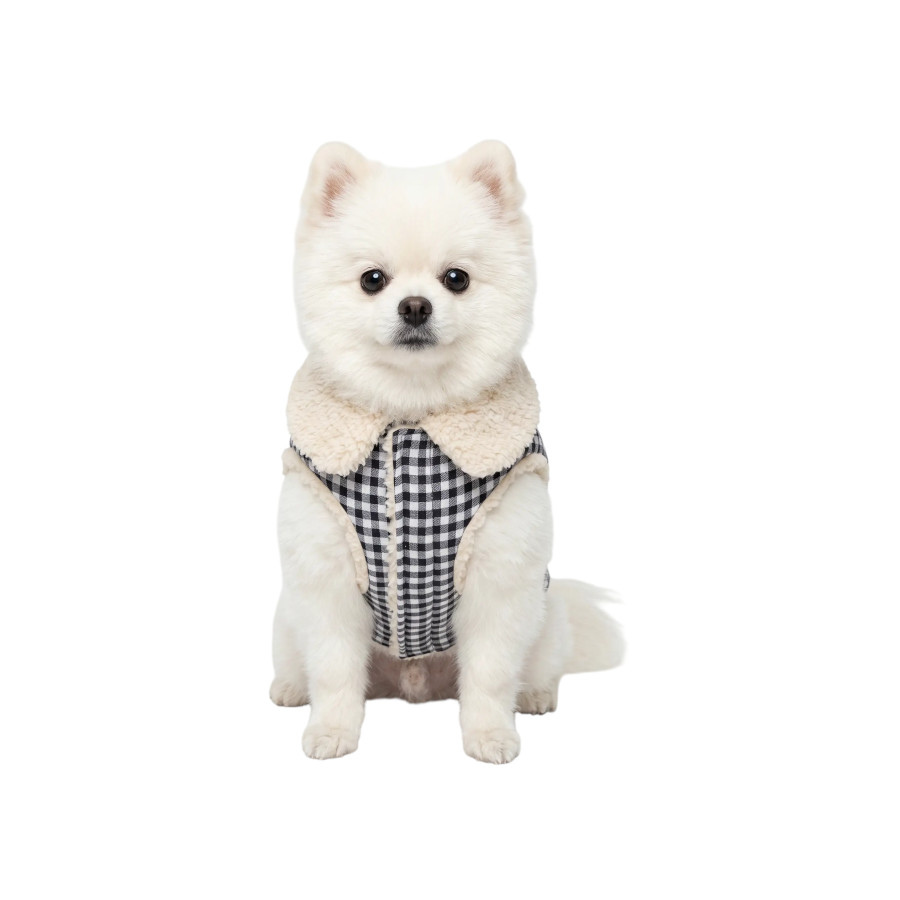 Gotoo Abrigo Azul Vichy para perros, , large Imagen numero 7