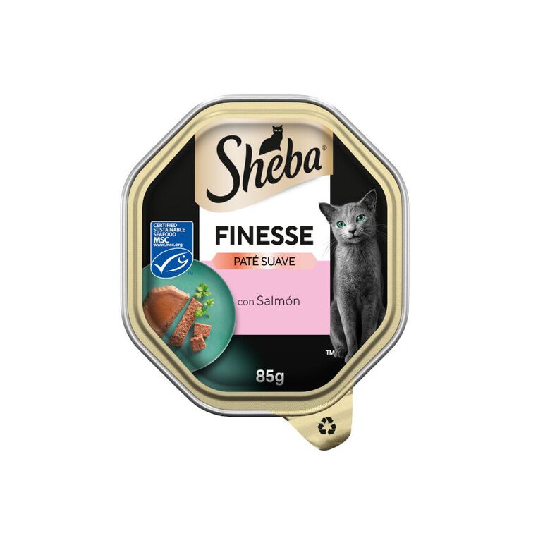 Sheba Finesse Salmón en Paté tarrina para gatos thumbnail