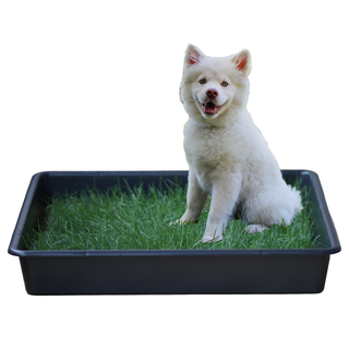 Petground Cama para perros Empapador Alfombra Olfativa Césped Natural