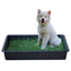 Petground Cama para perros Empapador Alfombra Olfativa Césped Natural, , large indicador imagen numero 1
