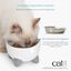 Comedero elevado para gatos Catit Pixi, 200 ml, , large indicador imagen numero 3