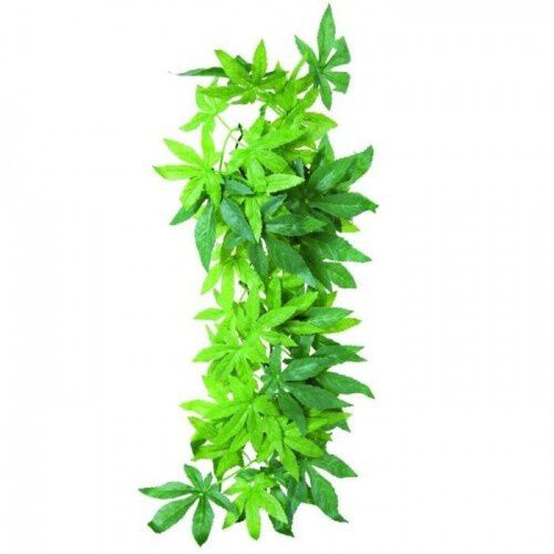 Trixie Planta de Seda Abutilon para terrarios