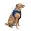 Aro protector para perro ciego Ortocanis, , large indicador imagen numero 4