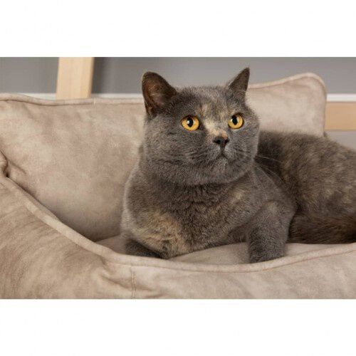 Cama para perros color Crema, , large Imagen numero 7