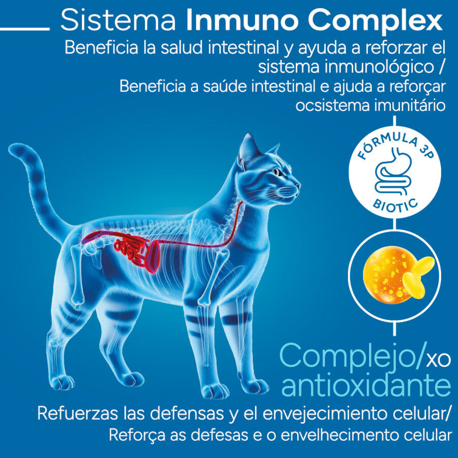 Criadores Cient&iacute;fico Adulto Esterilizado Pollo pienso para gatos, , large Imagen numero 3