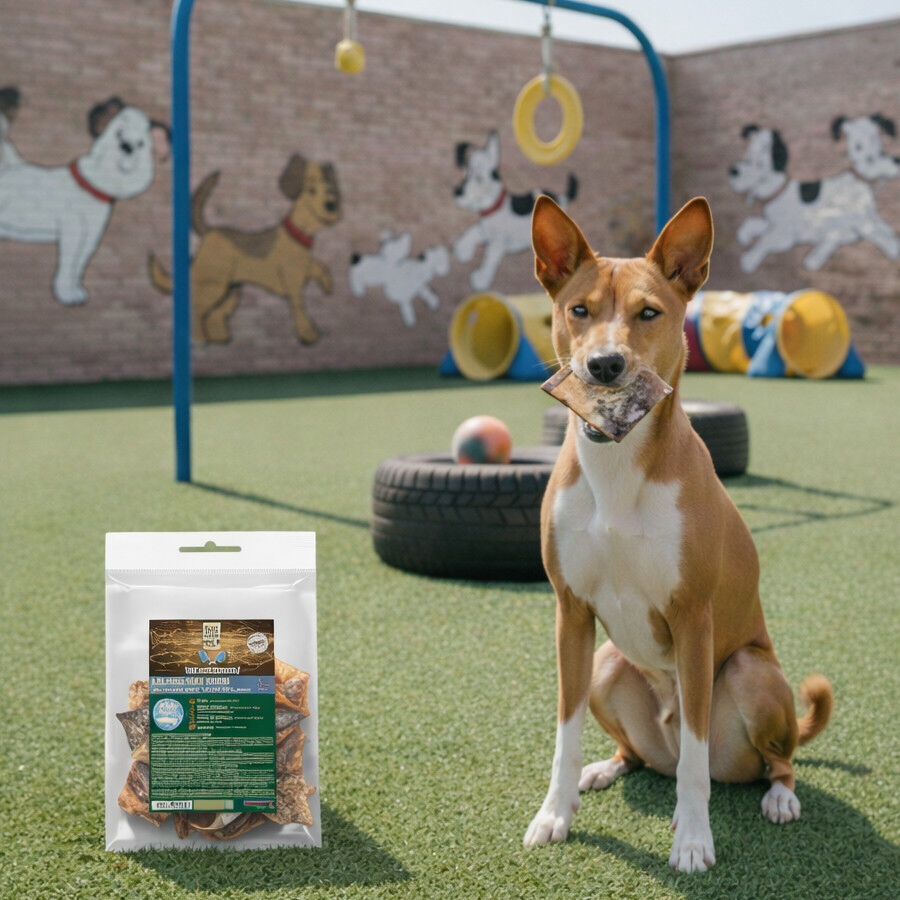 70 g. True Origins Cubos Piel de Salm&oacute;n Snack para perros, , large Imagen numero 1