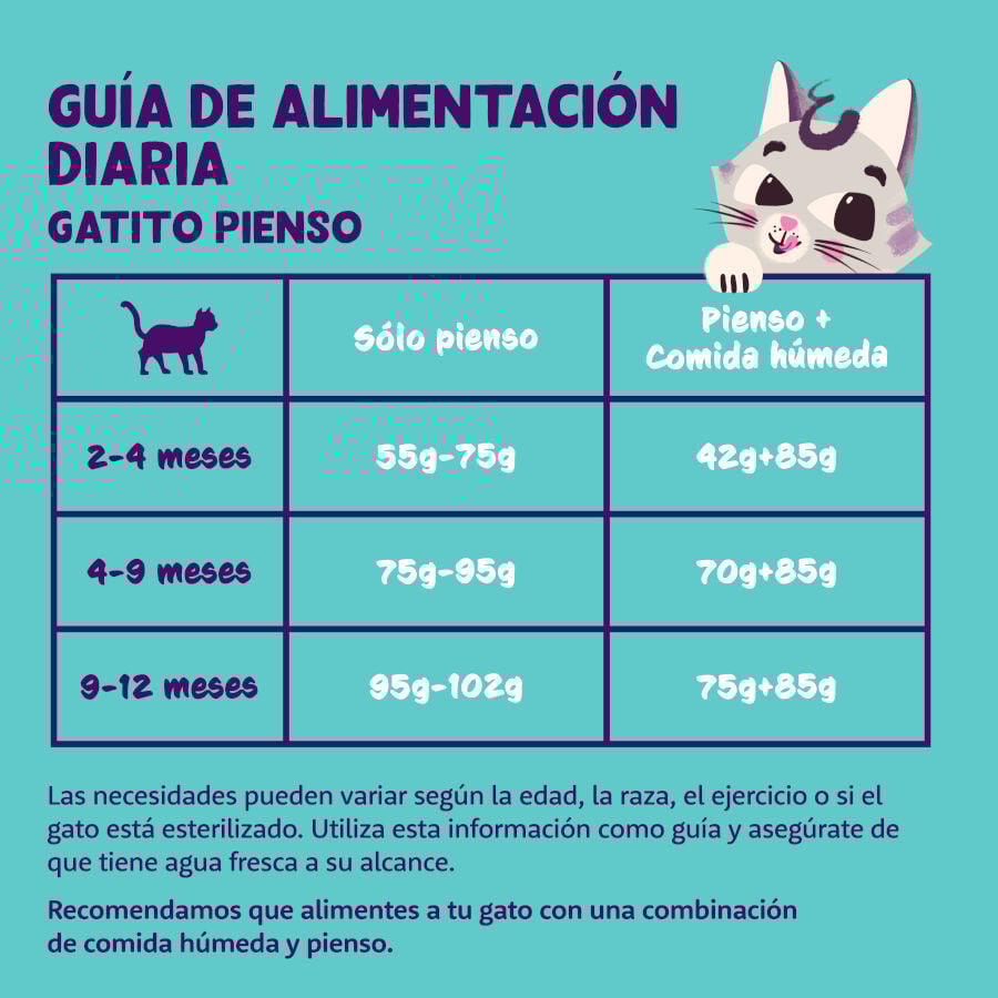 Edgard &amp; Cooper Kitten Pato y Pollo pienso thumbnail