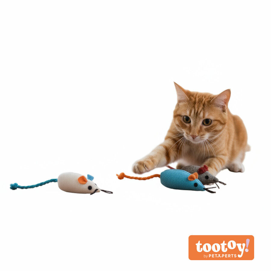 Tootoy! Rat&oacute;n de Tela Colores Variados para gatos, , large Imagen numero 9