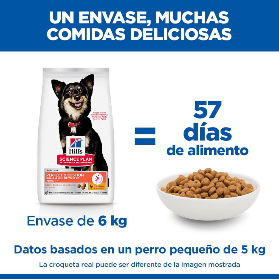 6 kg Hill's Science Plan Perfect Digestion Small y Mini Adult Pollo pienso para perros, , large Imagen numero 6