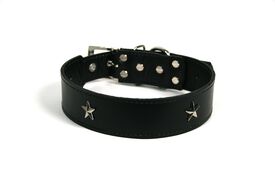 LGMCAN Collar de Piel negro con estrella para perros