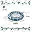 Wonder Christmas Cama Donut Rayas para gatos, , large indicador imagen numero 3