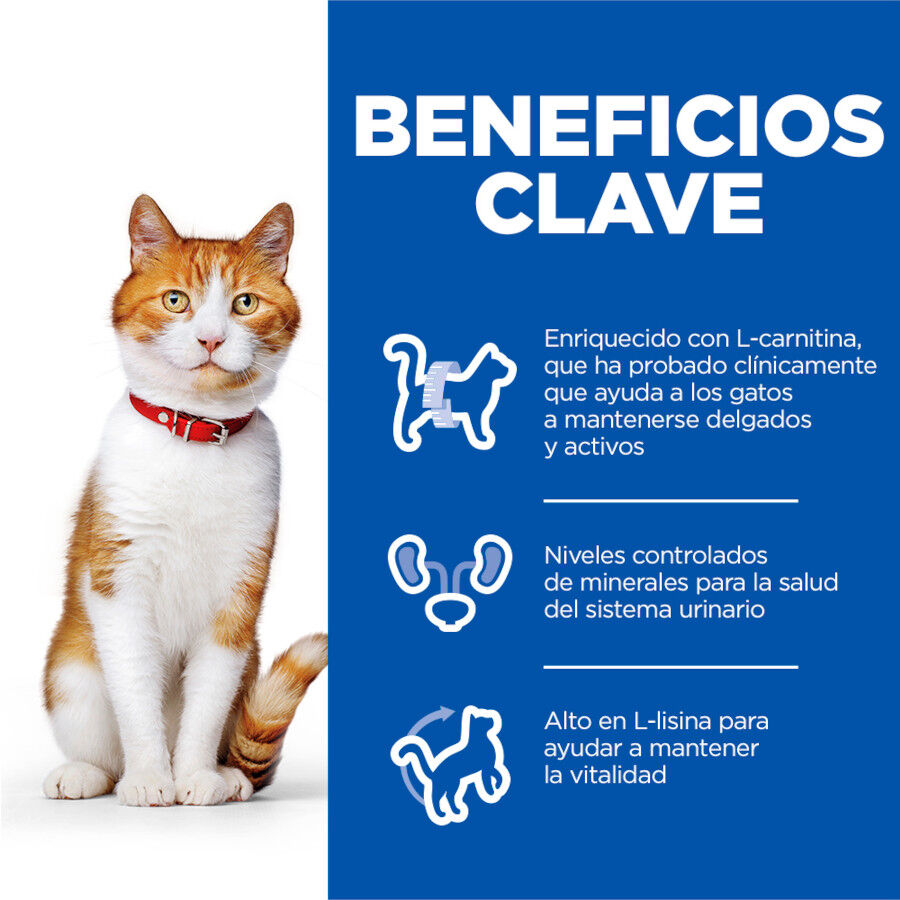 Hill&#039;s Science Plan Sterilised Adult Salmón pienso para gatos thumbnail