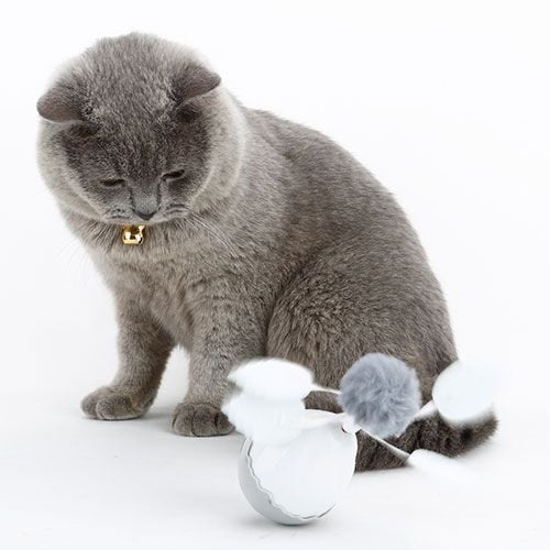 Ibañez Electronic Motion Egg Juguete para gatos thumbnail