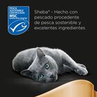 Sheba Craft Collections Pescado sobre en salsa para gatos - Pack 4, , large image number null