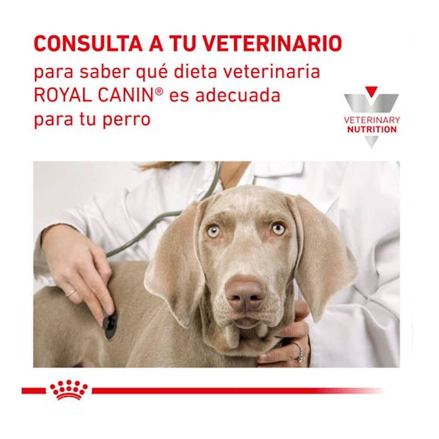 Royal Canin Gastrointestinal Low Fat lata para perros thumbnail