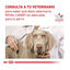 48 latas x 420 g Royal Canin Gastrointestinal Low Fat lata para perros ¡Pack ahorro!, , large indicador imagen numero 8