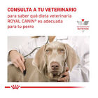 Royal Canin Gastrointestinal Low Fat lata para perros, , large image number null