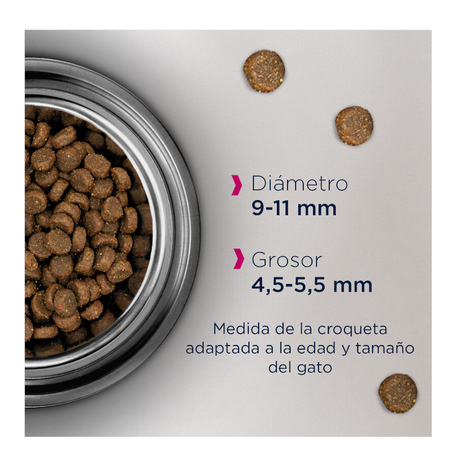 Eukanuba Adult Pollo pienso para gatos thumbnail