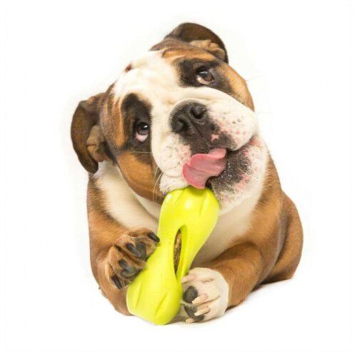 Juguete dispensador de premios para perros color Verde thumbnail