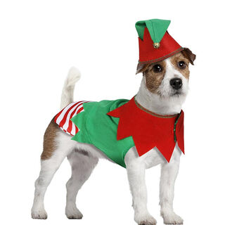 Guirma Disfraz de Elfo con Sombrero para perro