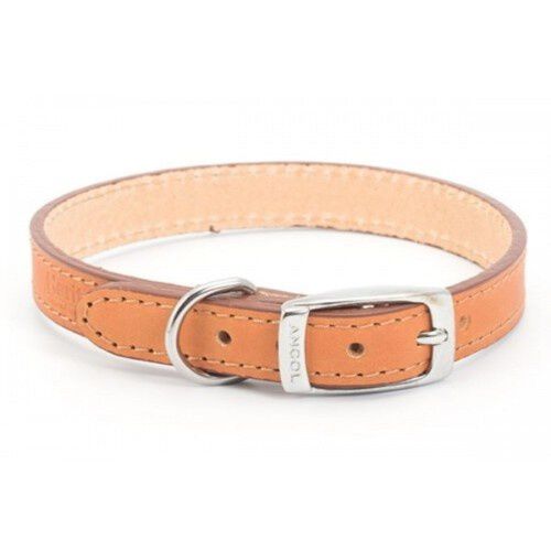 Ancol heritage collar hot sale