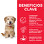 Hill's Science Plan Youthful Vitality Adult +7 Small & Mini Pollo pienso para perros, , large indicador imagen numero 5