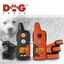 Dogtrace  Pro  1000 DOGTRACE  PRO  1000 - NARANJA, , large indicador imagen numero 3