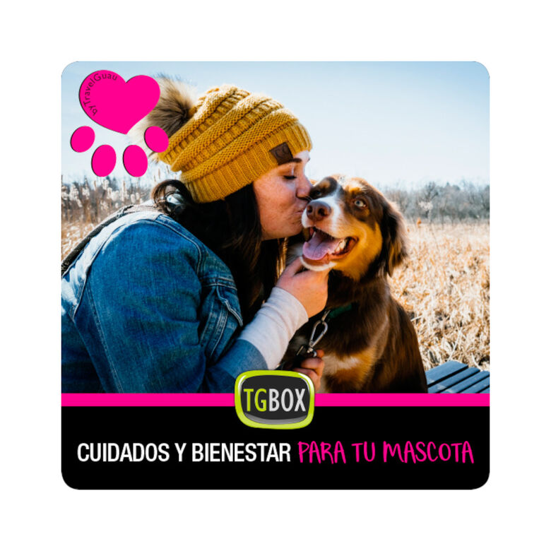 Tgbox Cuidados Y Bienestar Para Tu Mascota para perros thumbnail