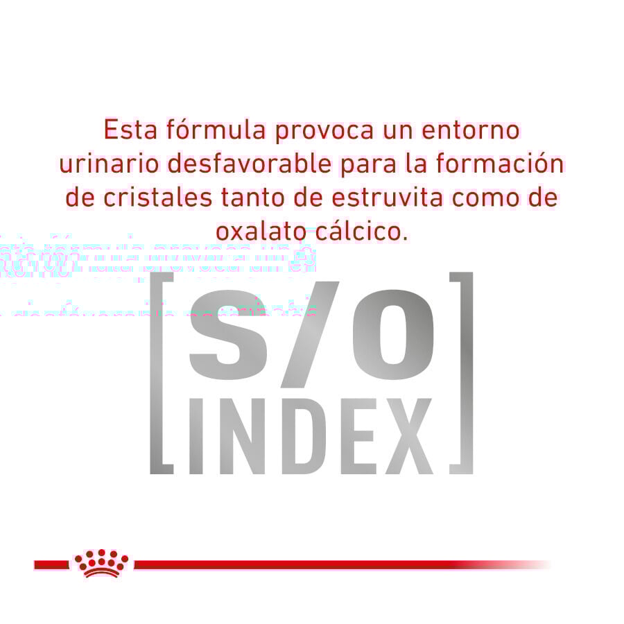 Royal Canin Veterinary Urinary Moderate Calorie sobres para gatos thumbnail