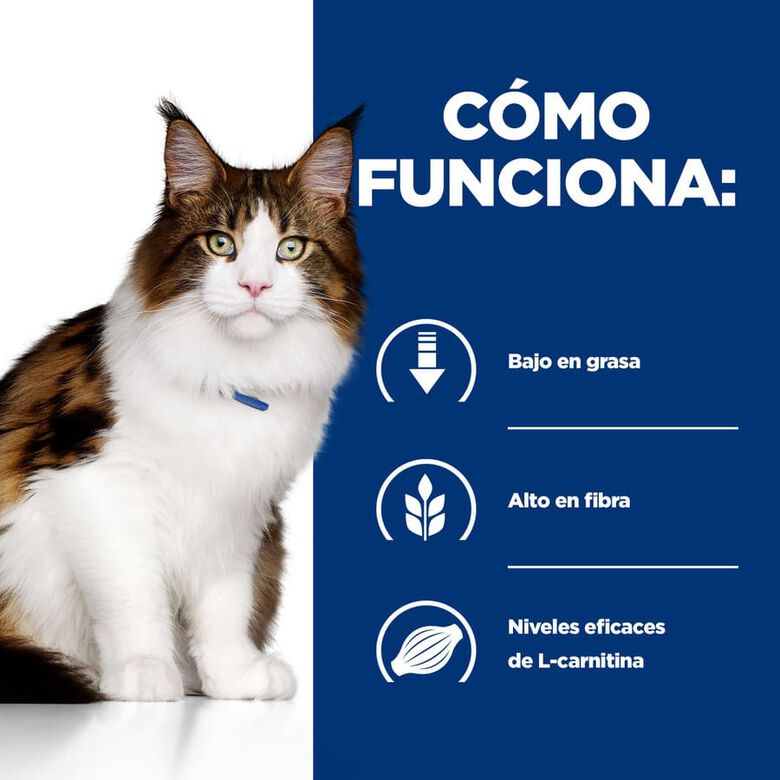 Hill&#039;s Prescription Diet Multi-Benefit Pollo pienso para gatos thumbnail