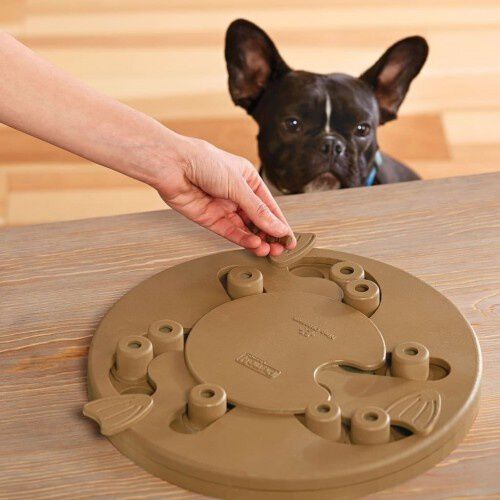 Juguete de inteligencia para perros thumbnail