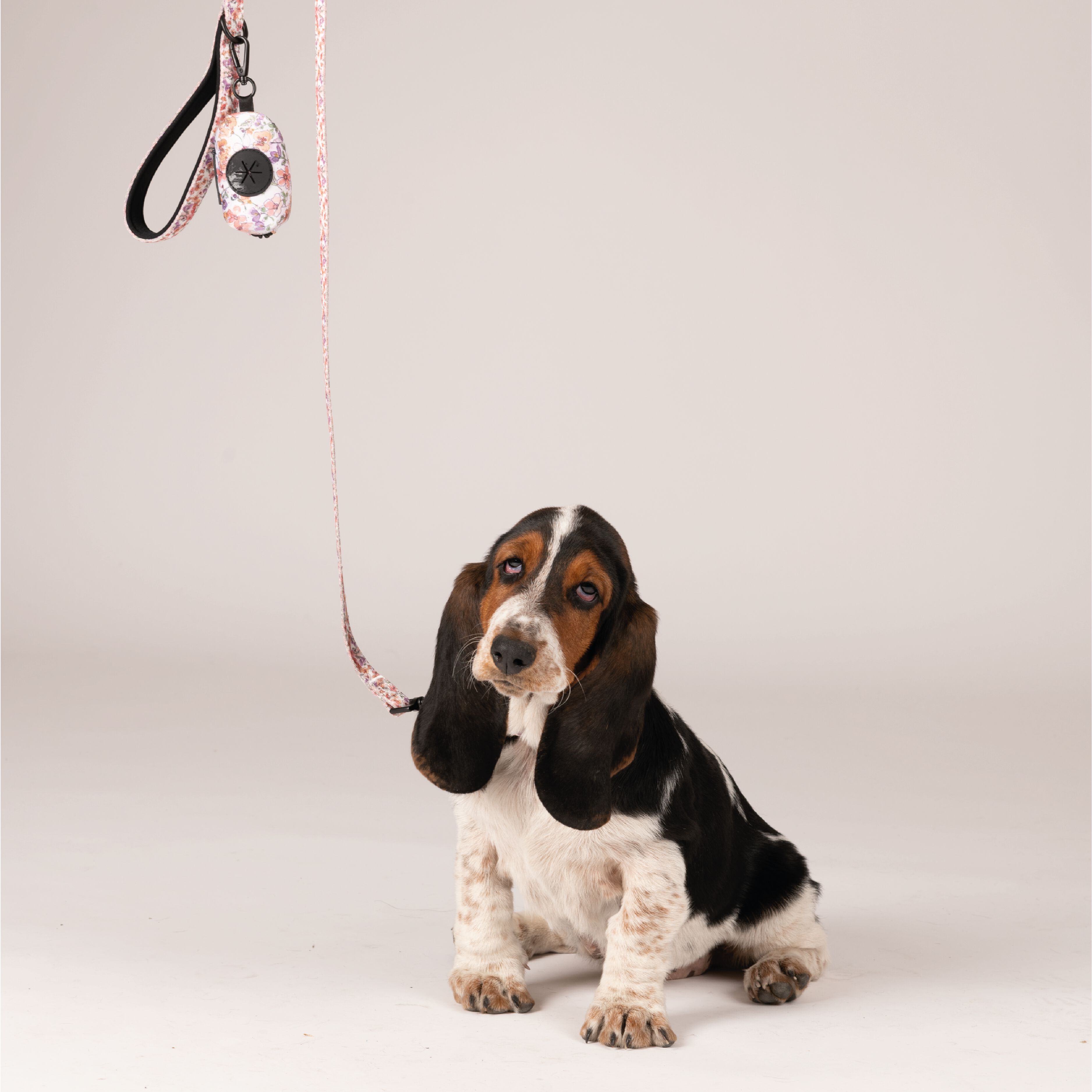 Petite Mafalda Pack Collar + Correa + Porta Bolsas Estampado Flores rosas para perros, , large Imagen numero 2
