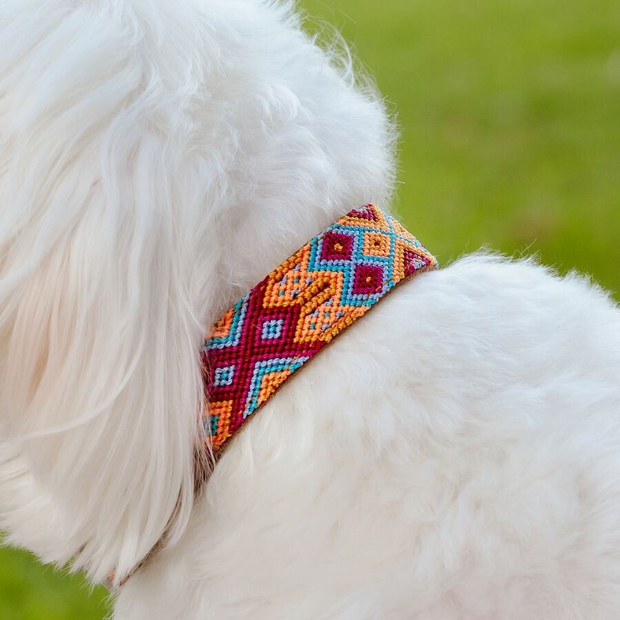 LOYAL COLLAR DE PIEL ARTESANAL TALLA S PARA PERROS, , large Imagen numero 4