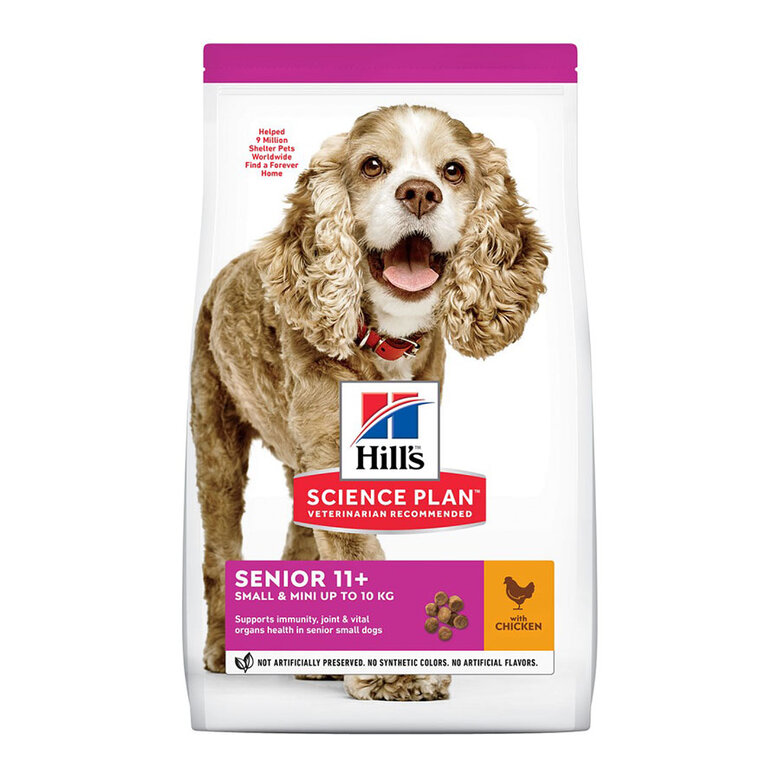 Hill's Science Plan Senior 11+ Small & Mini pollo pienso para perros, , large image number null