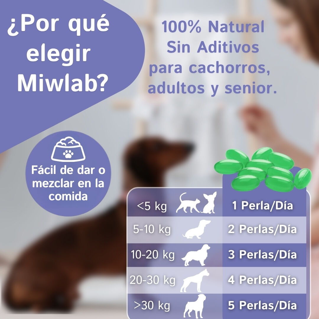 Prebioticos con Menta para el Mal Aliento de Perros y Gatos | Suplemento Veterinario con Enzimas para Salud Digestiva Completa Perro y Gato Reparador y Refrescante Flora Intestinal Olor Placa y Sarro thumbnail