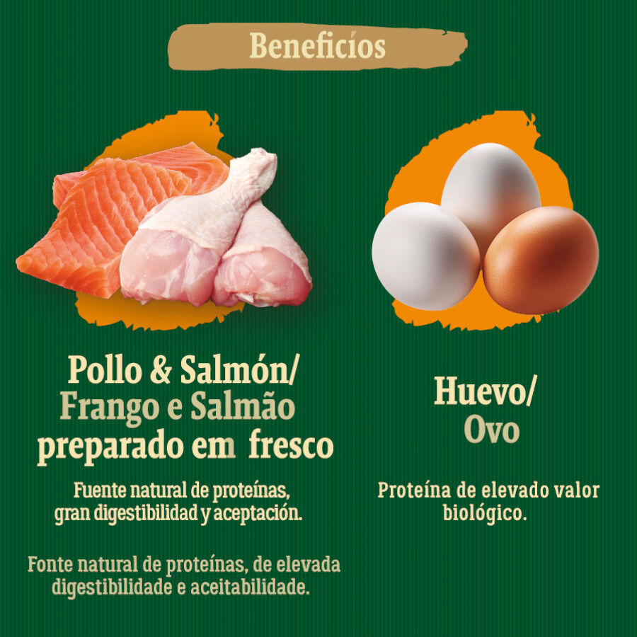 12 kg True Origins Wild Puppy Country Water Pollo y Salm&oacute;n pienso, , large Imagen numero 5