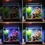 Nobleza - Luz de Acuario  Peces Tanque Lámpara Iluminación de Plantado de Pecera Temporizador Ajustable, 10 Niveles de Brillo para Tanque, , large indicador imagen numero 5